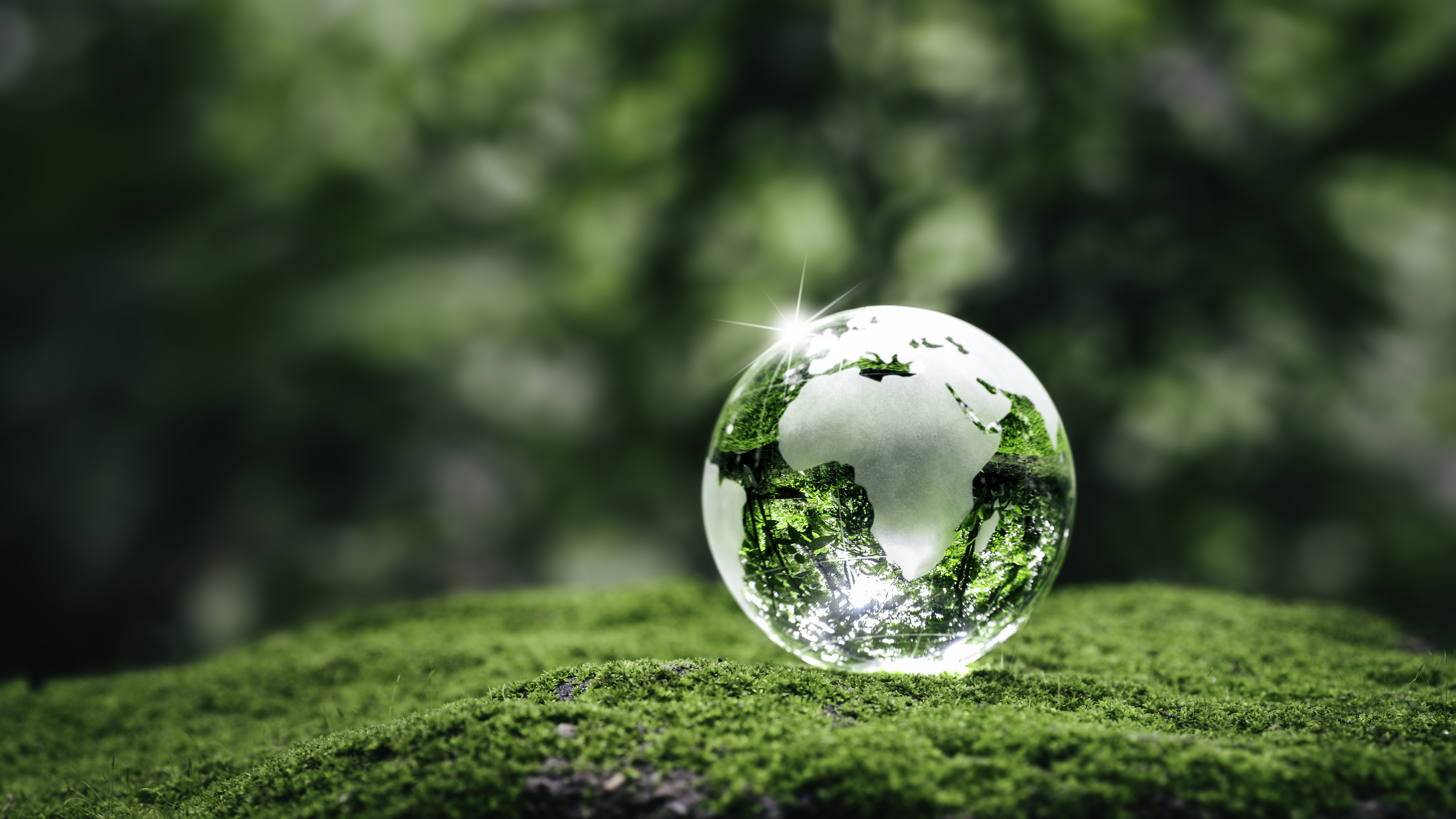La Carac s'engage pour la transparence environnementale